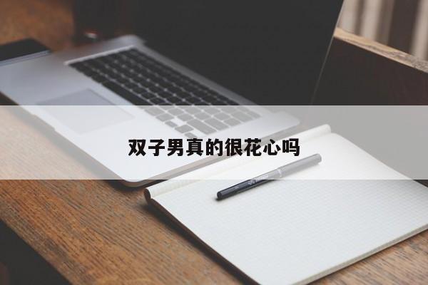 双子男真的很花心吗