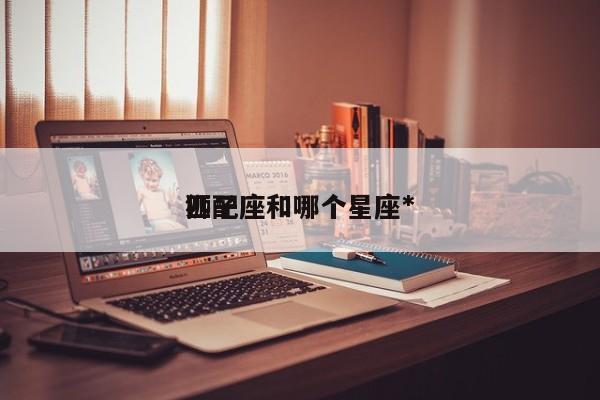 狮子座和哪个星座*
匹配