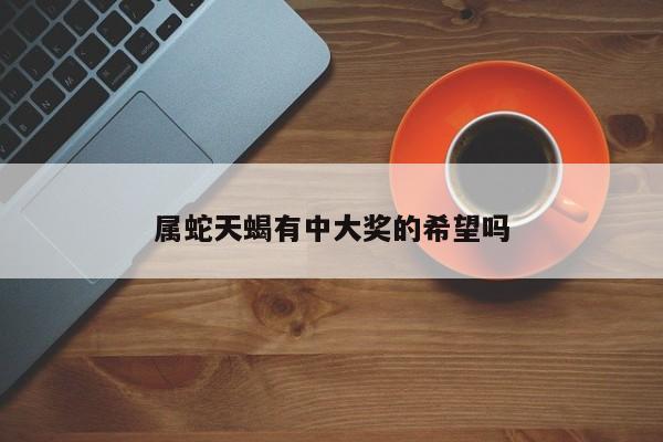 属蛇天蝎有中大奖的希望吗